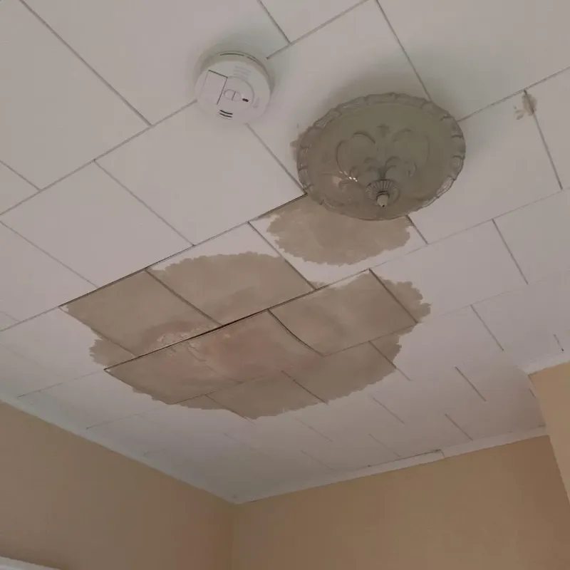 Ceiling Water Damage Repair in Peoria, IL