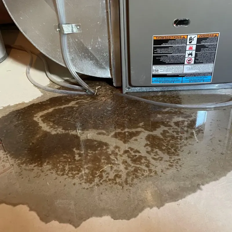 Pipe Burst and Leak Restoration in Peoria, IL