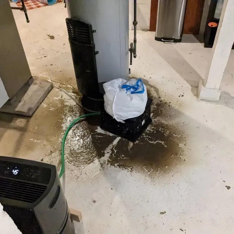 Sewage Backup Cleanup Service in Peoria, IL